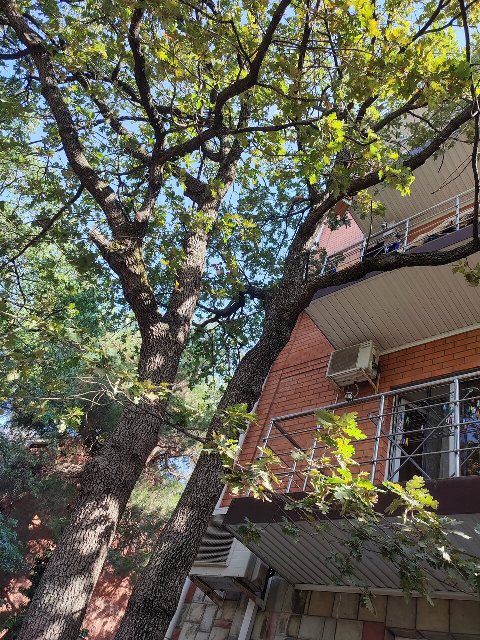 Гостиница Дивный Геленджик